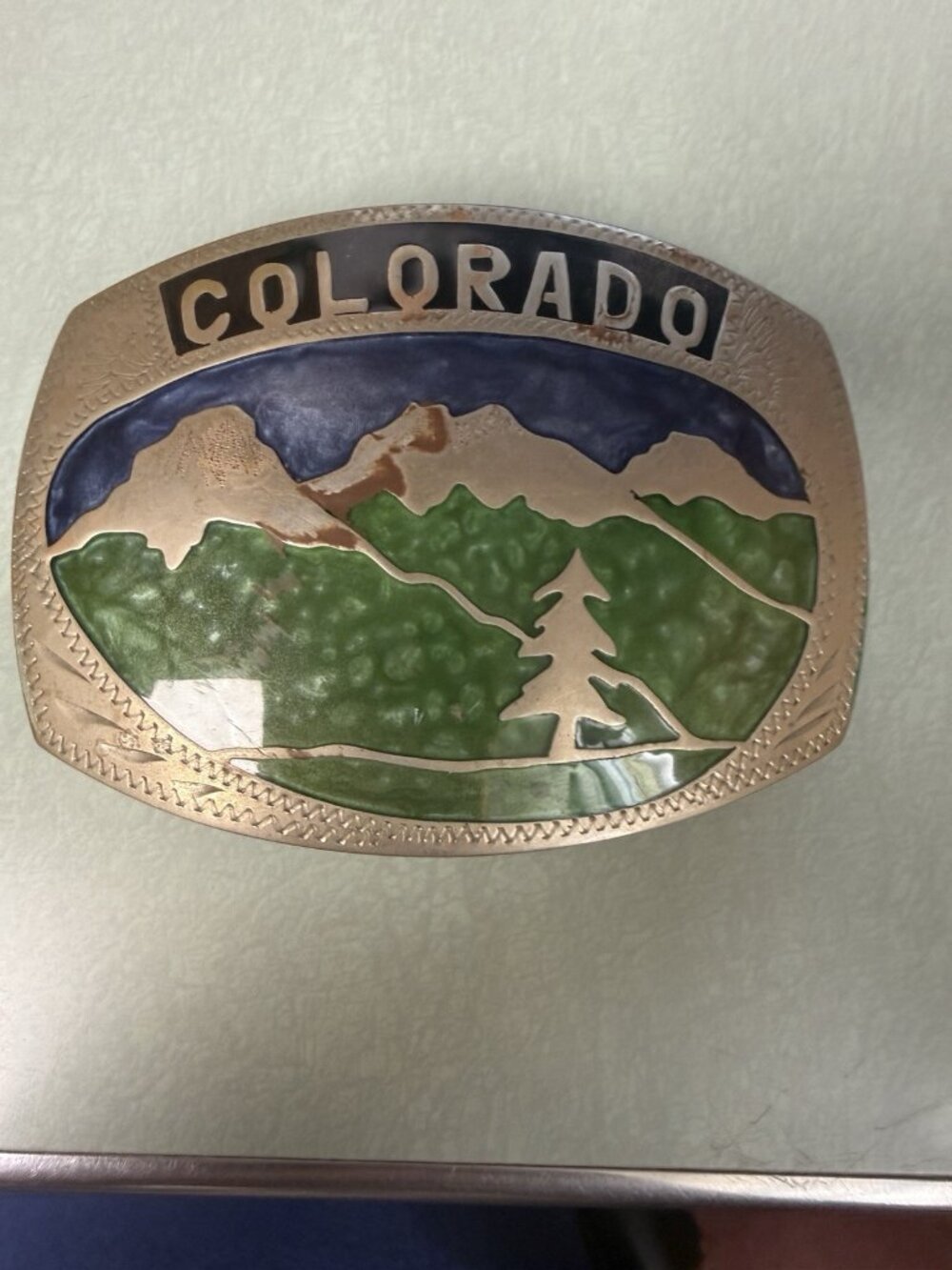 Belt Buckle Colorado Themed Vintage  Mountain Country Scene